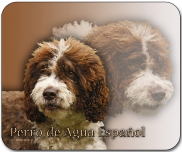 Mousepad Spanischer Wasserhund (Perro de agua Español) #2